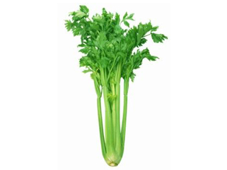 vegetable