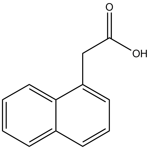 N600